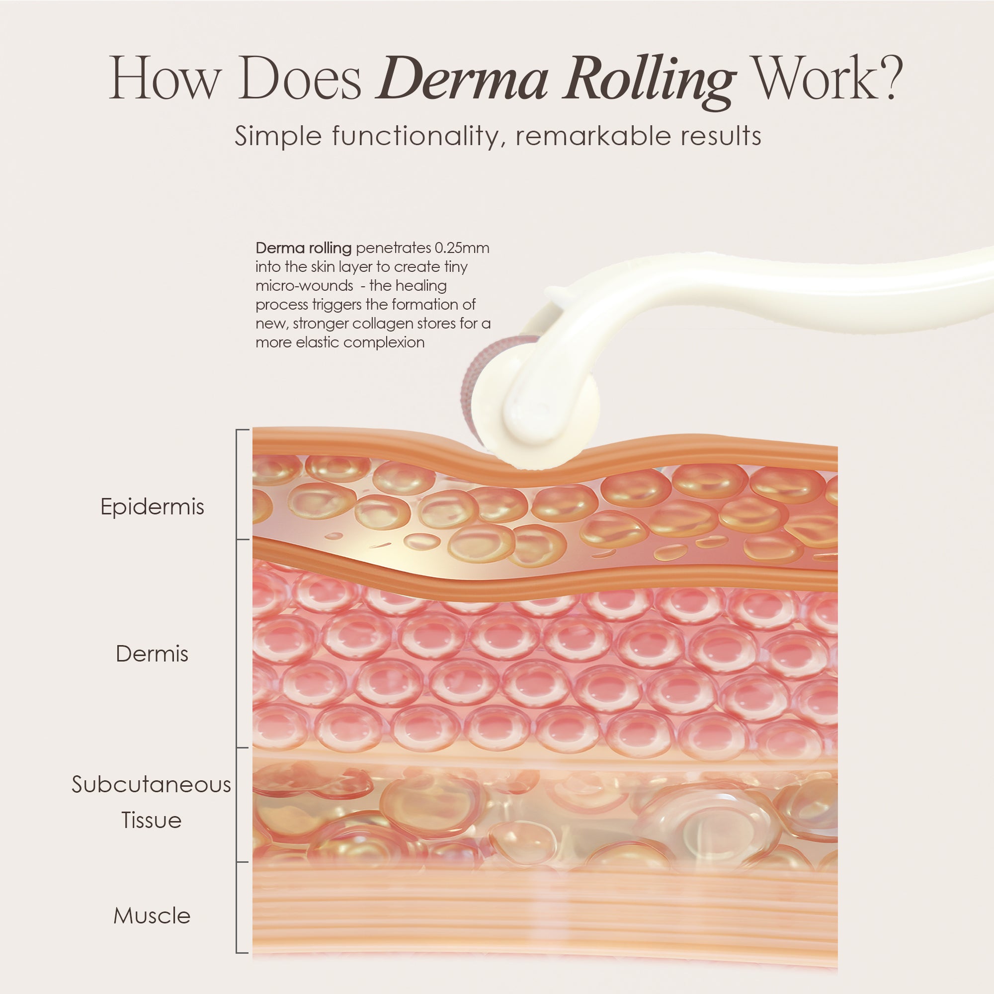 The Derma Roller at-home microneedling tool showing skin infographic on how microneedling works to trigger collagen production